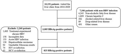 Assessment and validation of the TREAT-B score to assess the treatment eligibility of patients with chronic hepatitis B virus infection